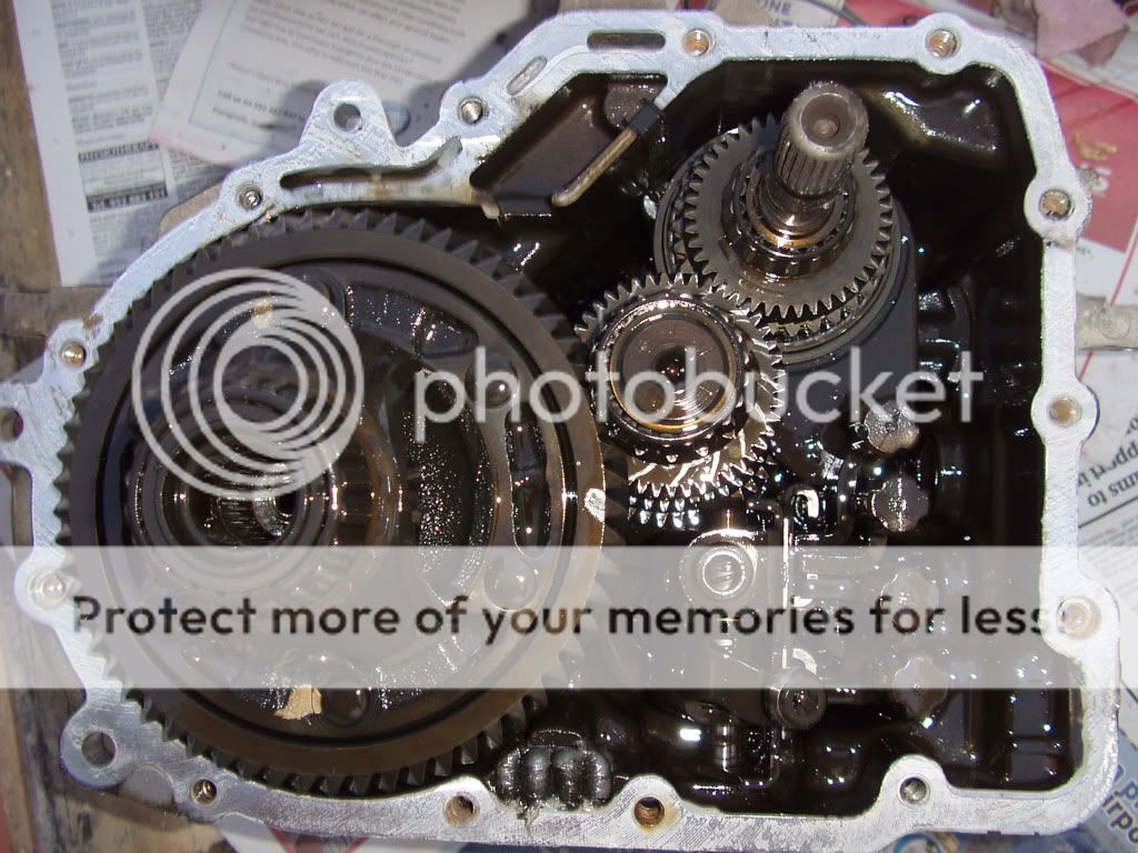 850 Gearbox Whine How to Fix